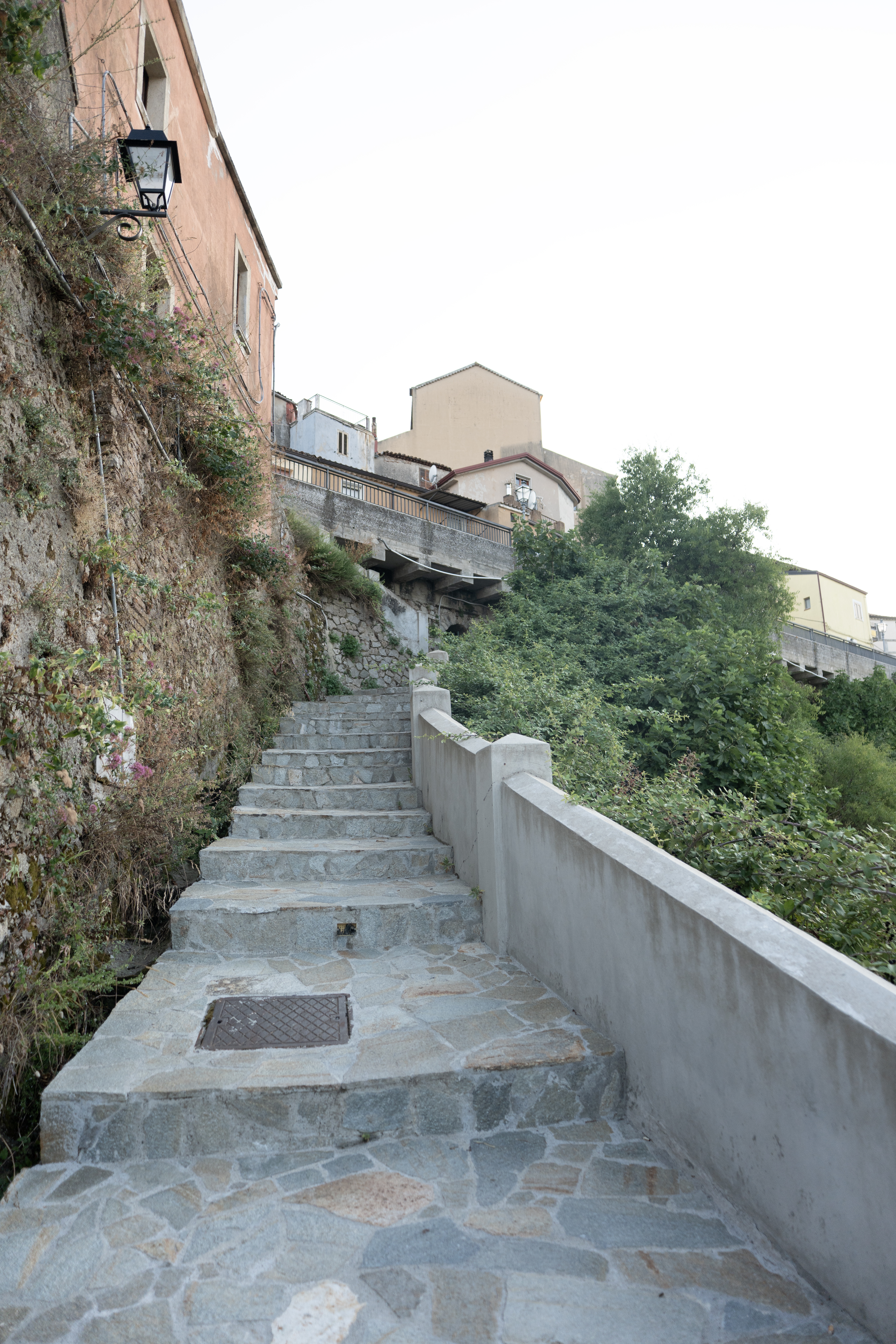 DSC04359-copia.jpg